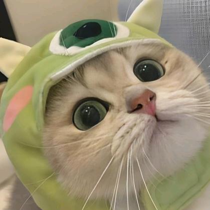 骑马钓鱼