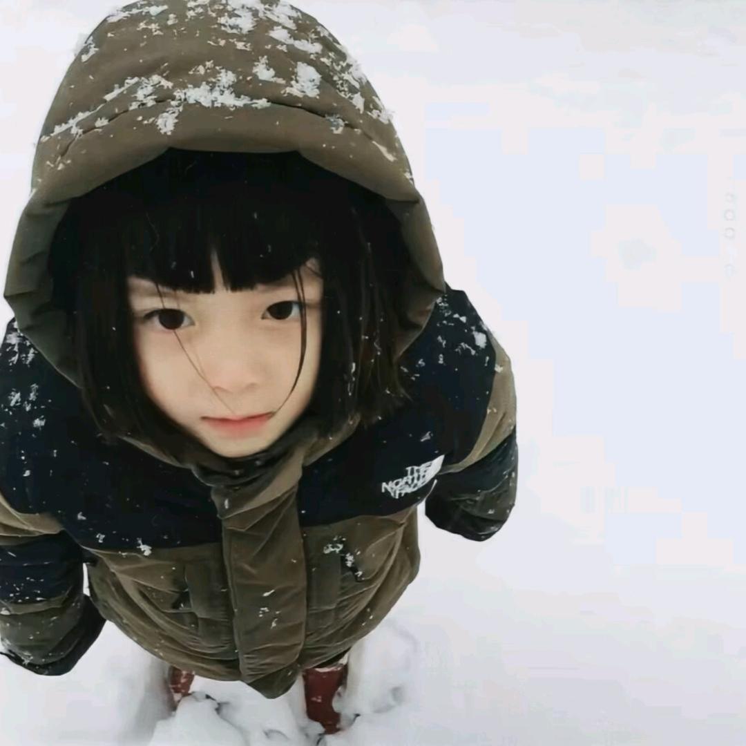 打工赚钱养小猫