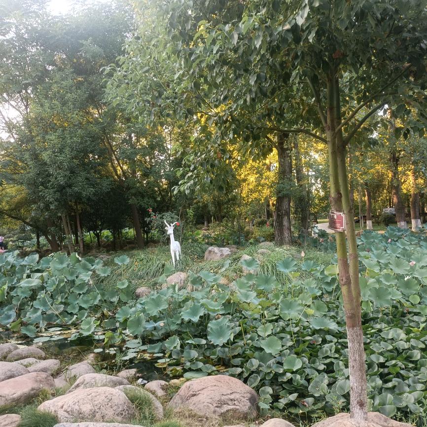 ☞一路向阳☜