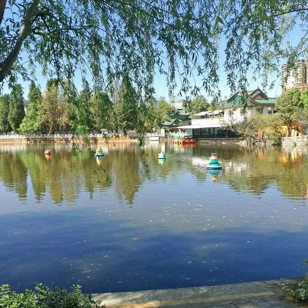 地和推拿不仅仅只是推拿