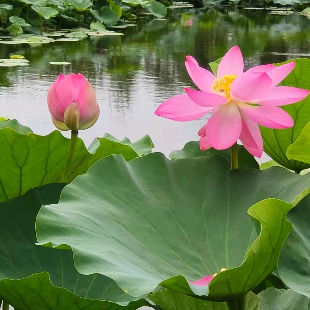 修心养性