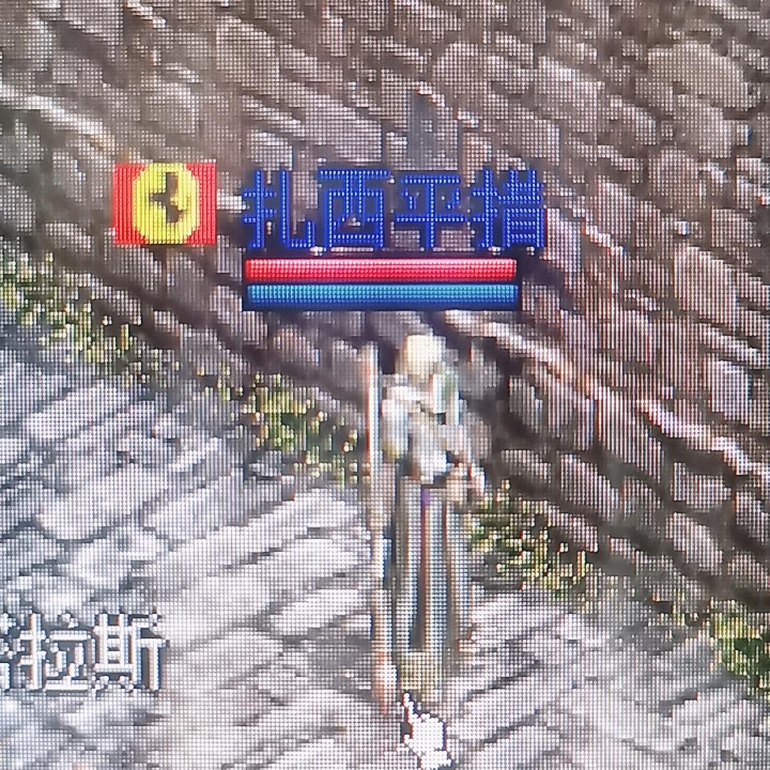 天堂1扎西平措