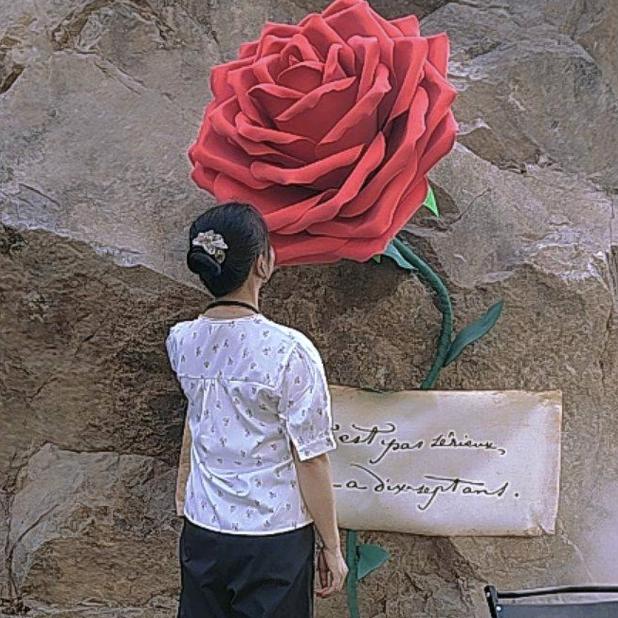 安吉白茶聊天室