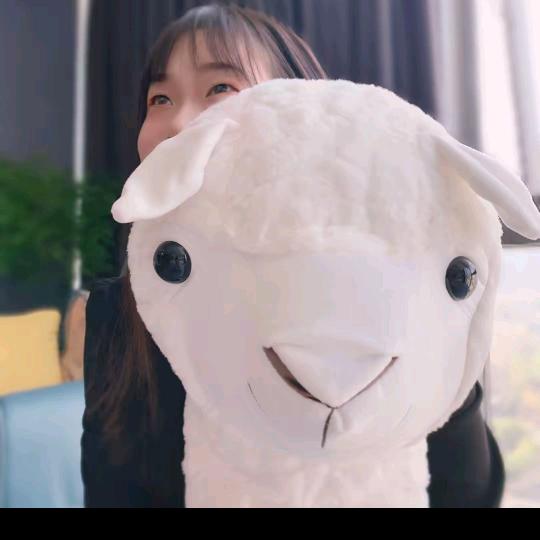 洋洋好物哟~