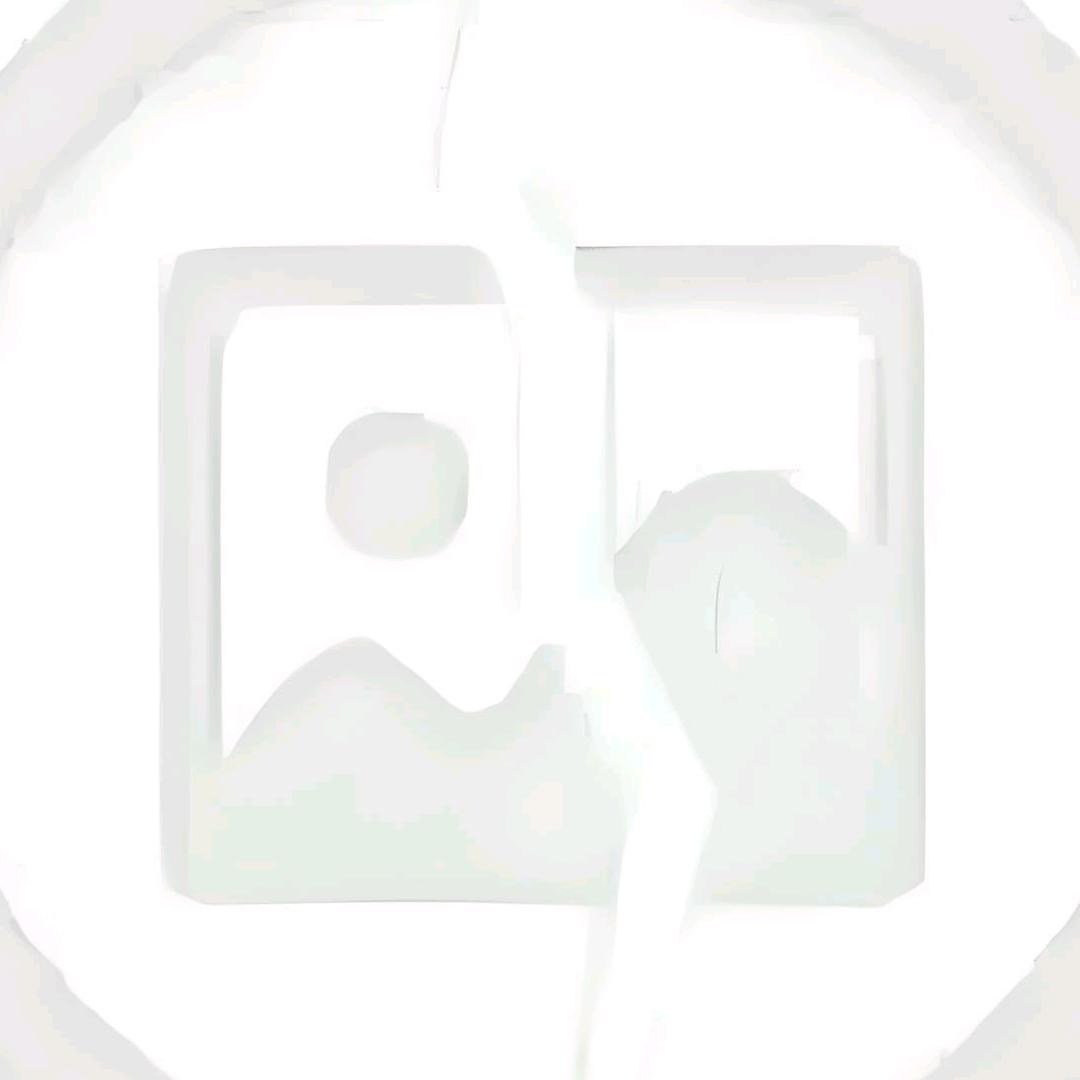 用户0102100991