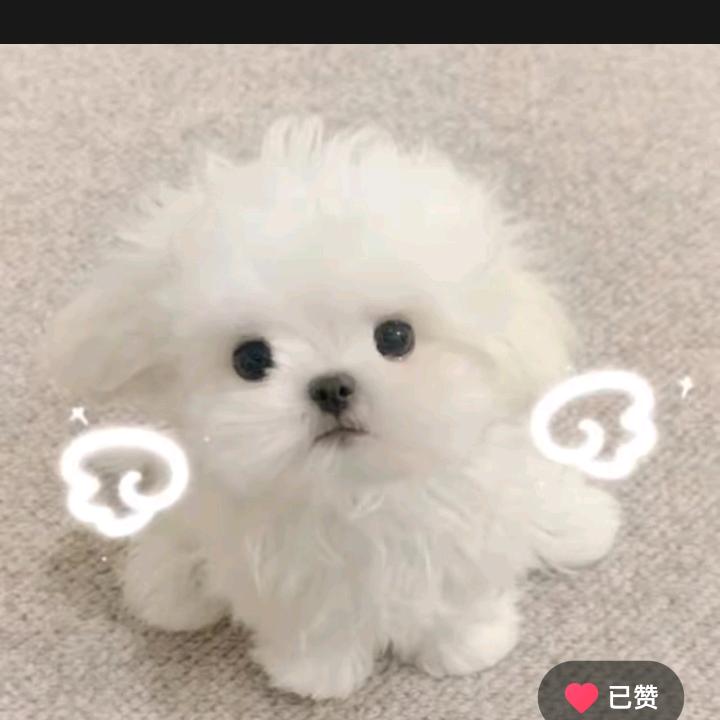 青山绿水0898