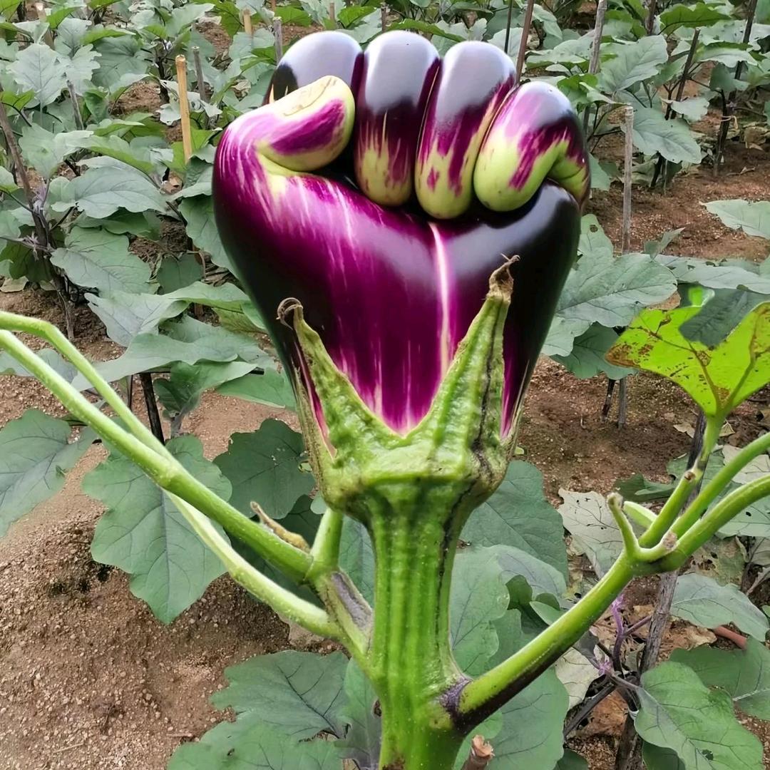 钓鱼农庄休闲场