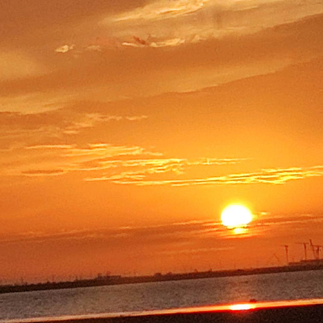 静静的海鲜