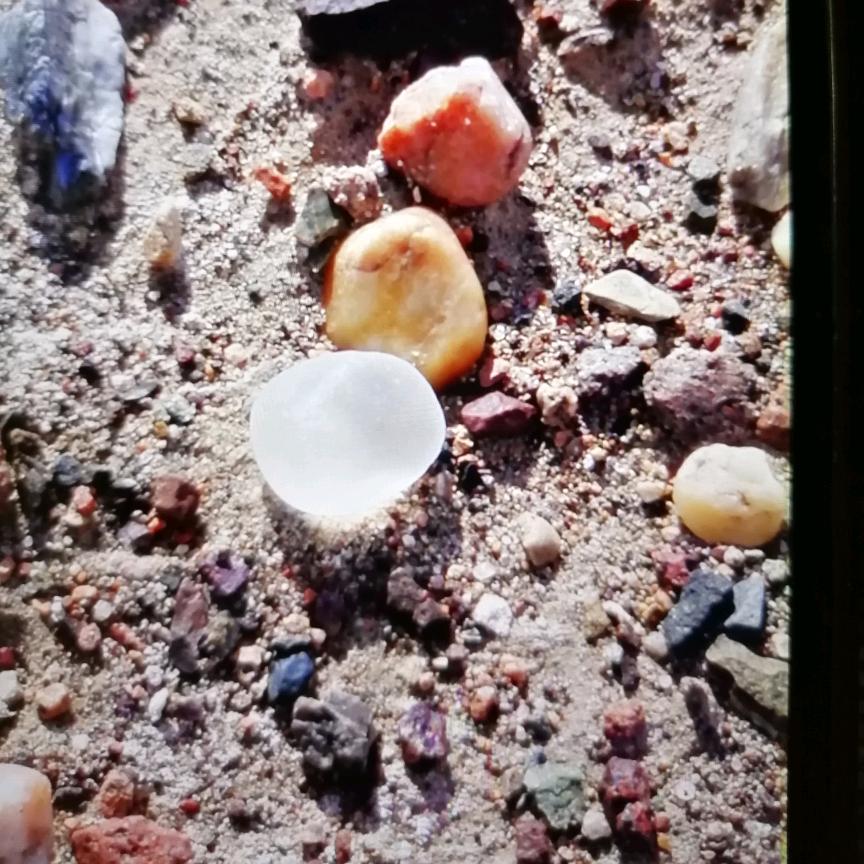 隔壁老王
