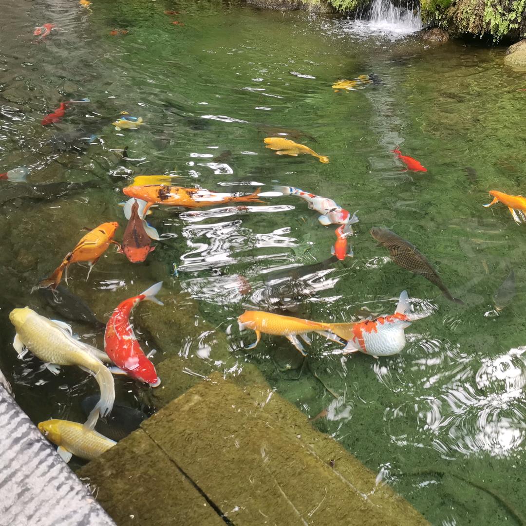 王～～
