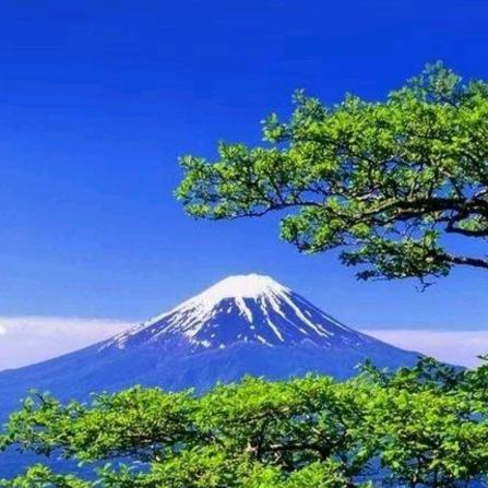 郑哥