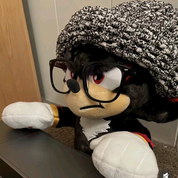 我不是强子的小猫派