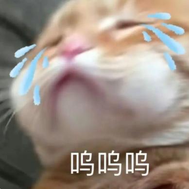 干一行行 一行，一行行行行行头像