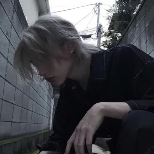 云崽