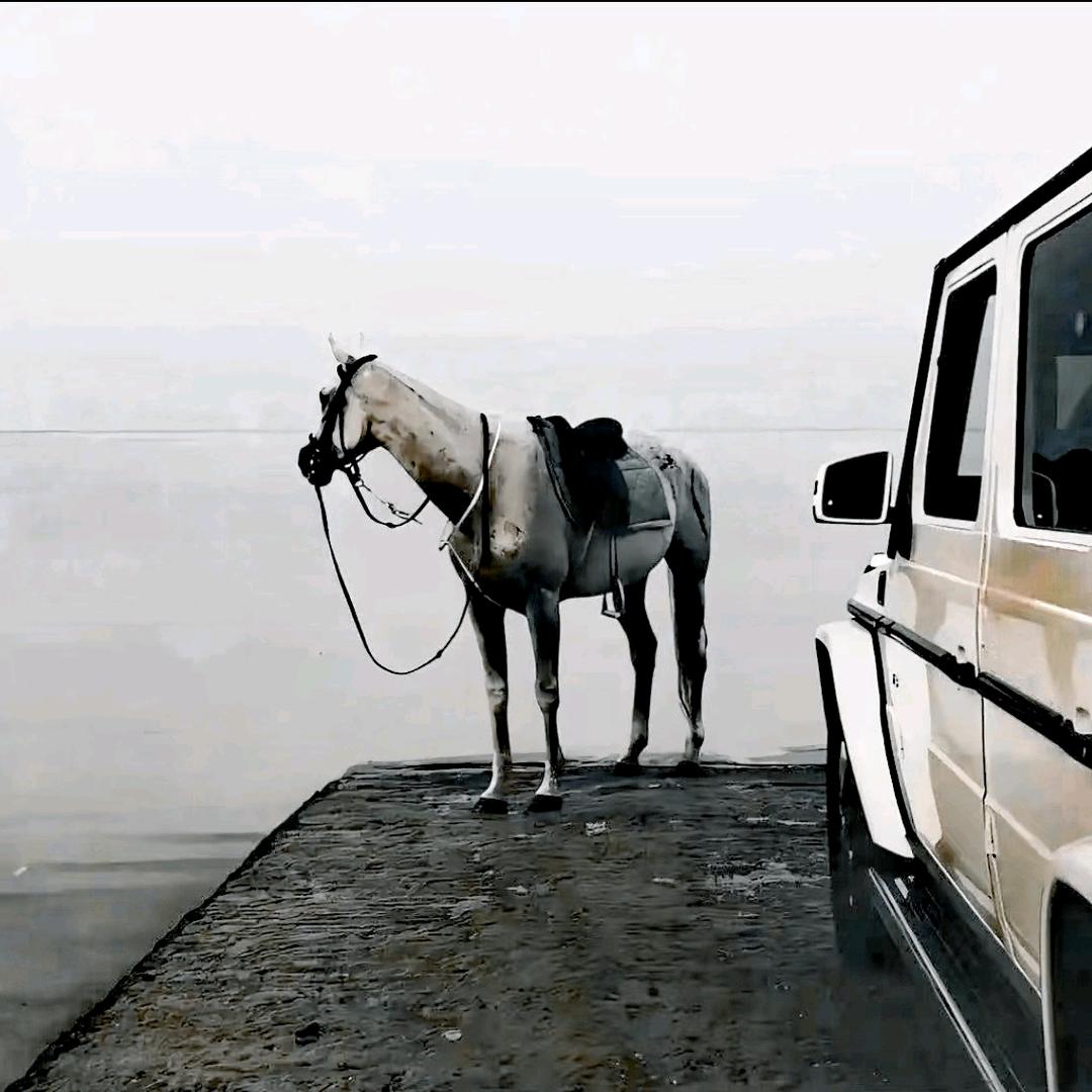 自我泅渡