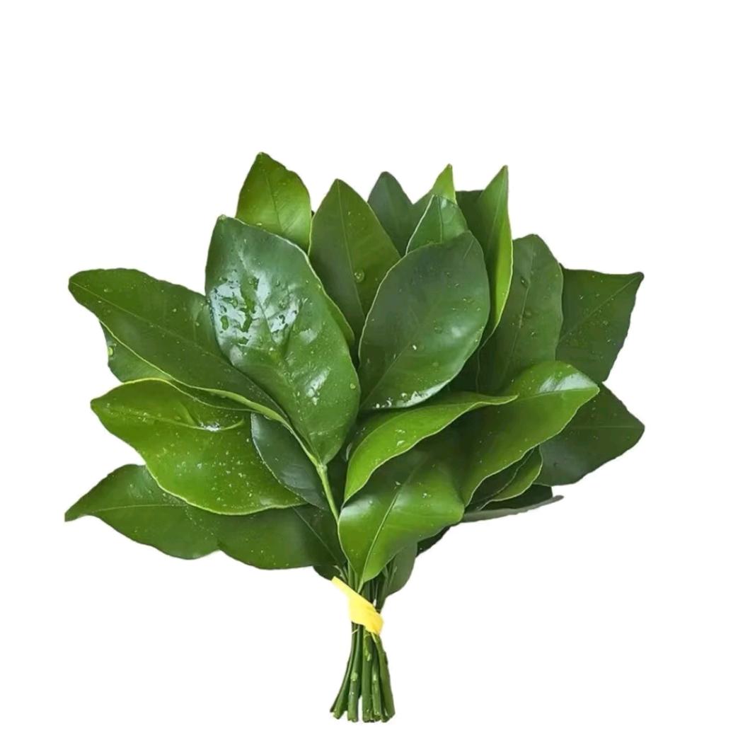 一碗的减肥日记