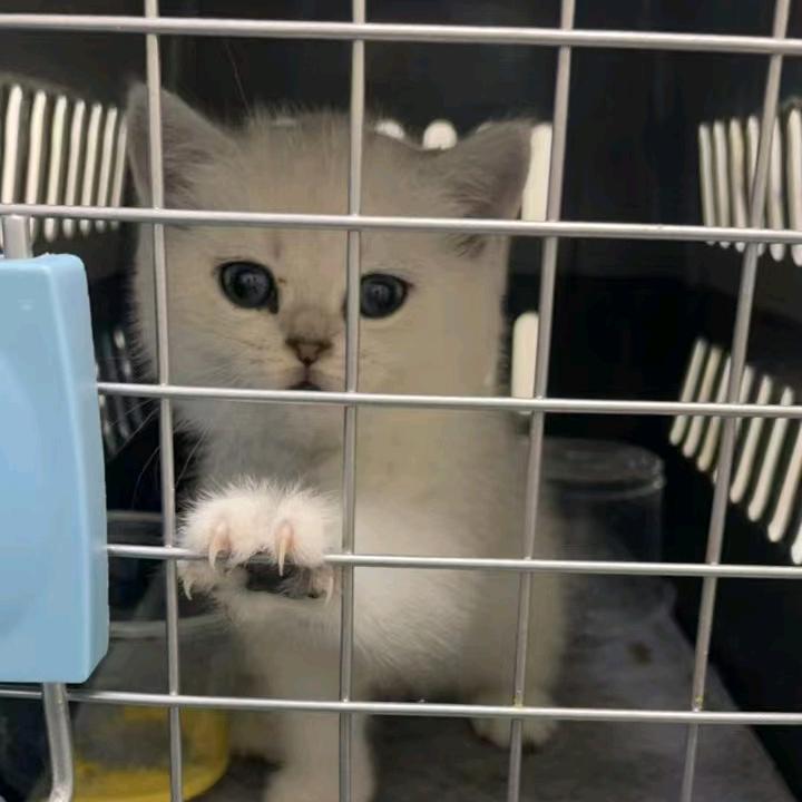 满眼皆是你