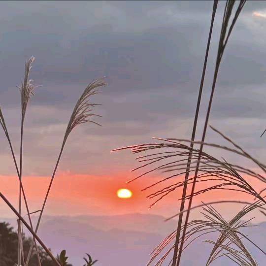 ✐ ๊๋ᝰꫛꫀꪝ ᯤ⁵ᴳ