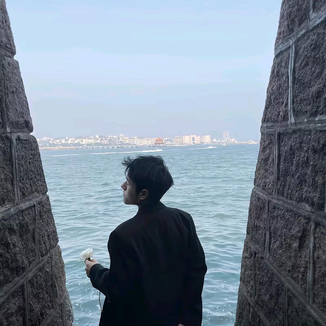万里寻鹤.