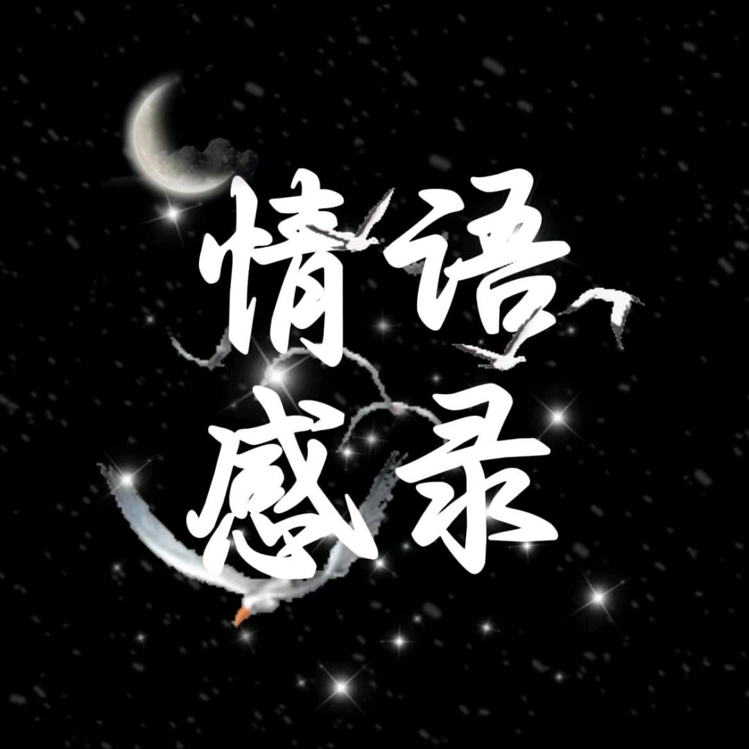 情感语录