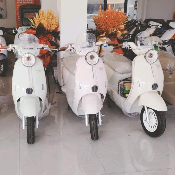 绿佳电动车临沂商城店🛵