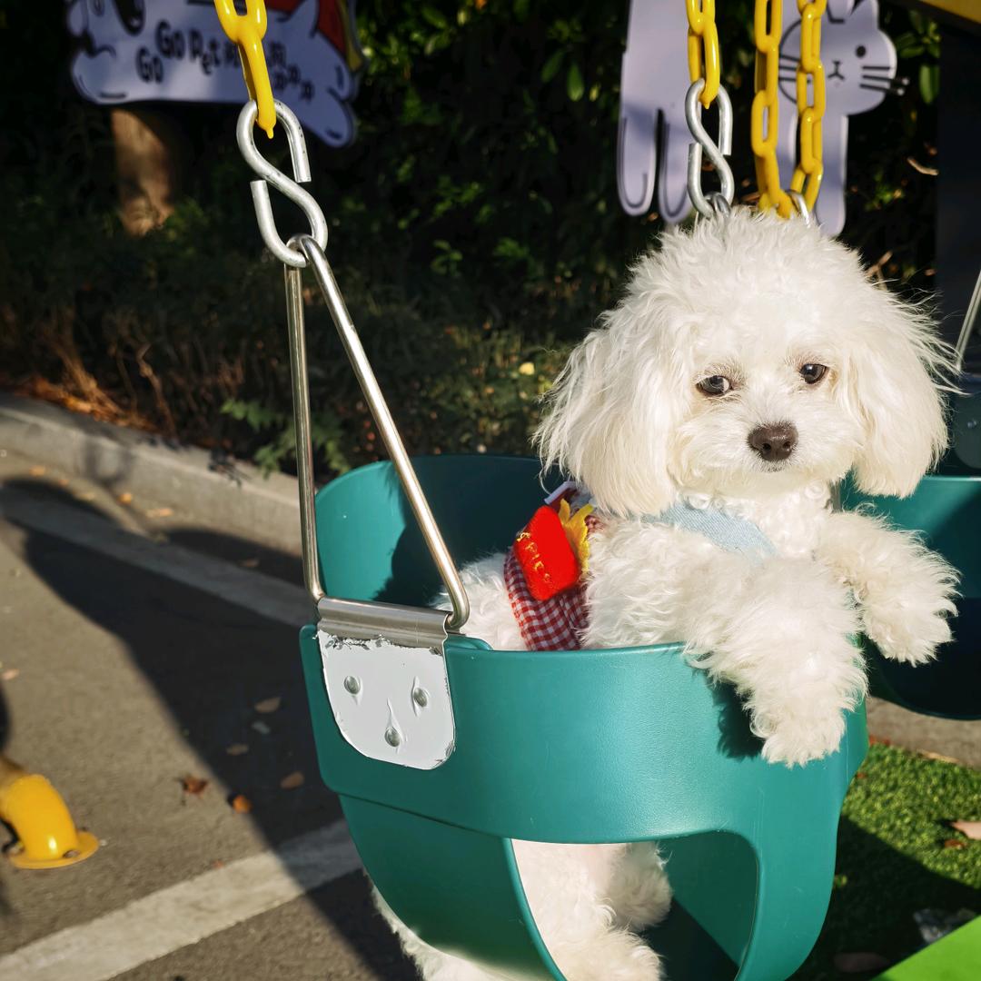 我无脑爱牛爷爷❤️