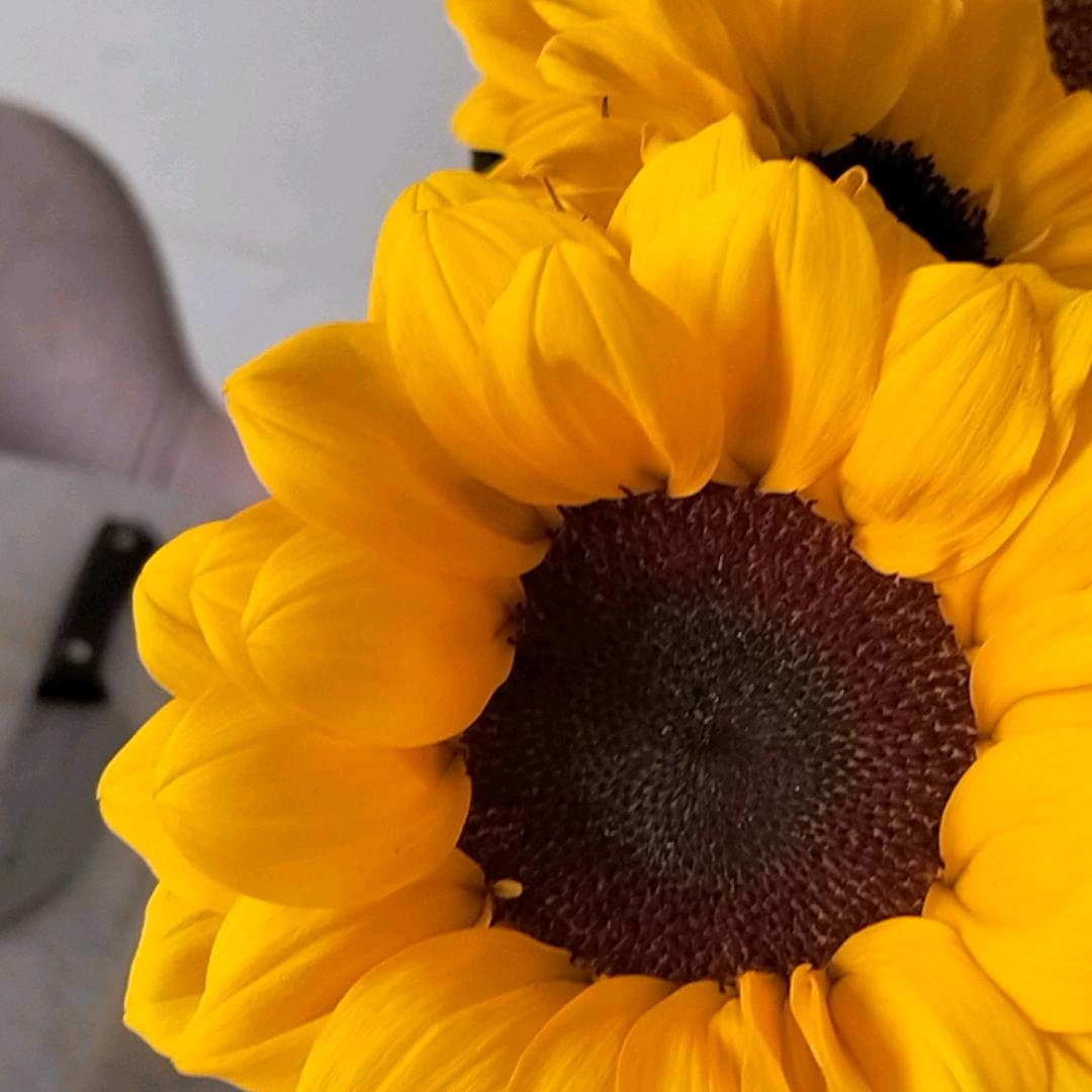 回族，我是懒妈