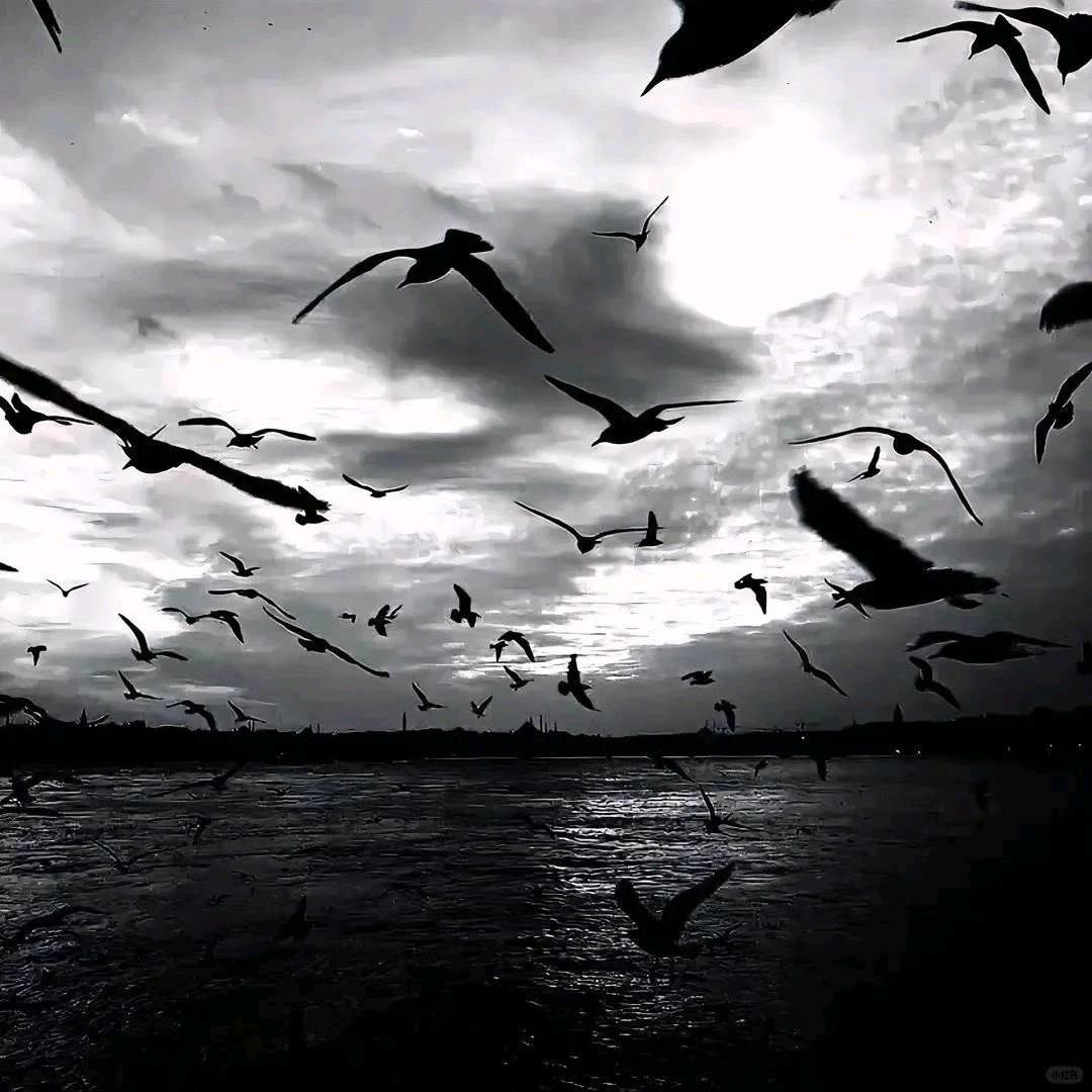 缘分才妙不可言