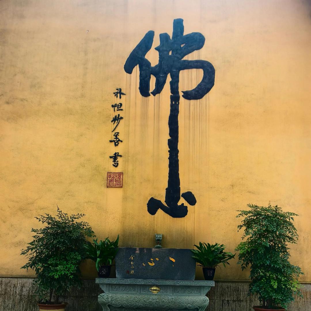 风过菩提