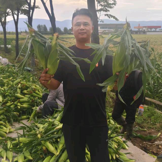 辛苦娘子磨豆腐