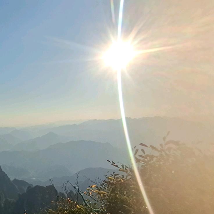 安平科曼高端美缝