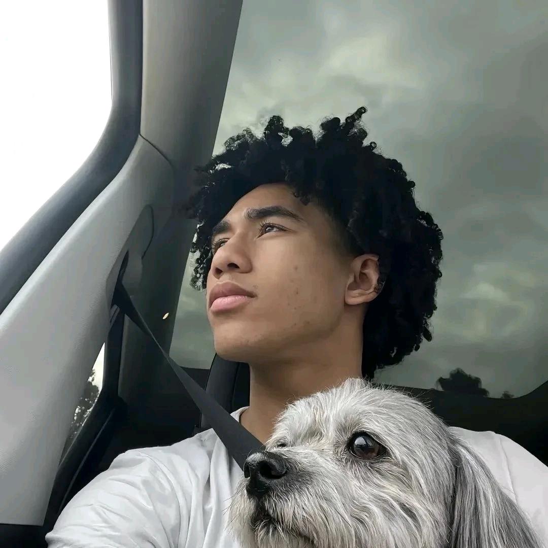 笼中雀.