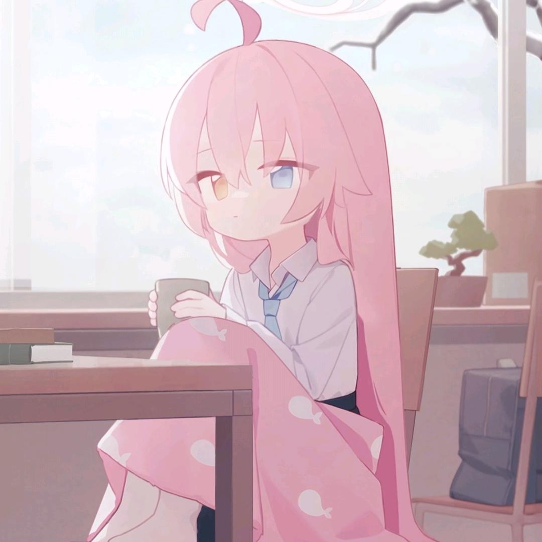 彗＼（^０＾）／