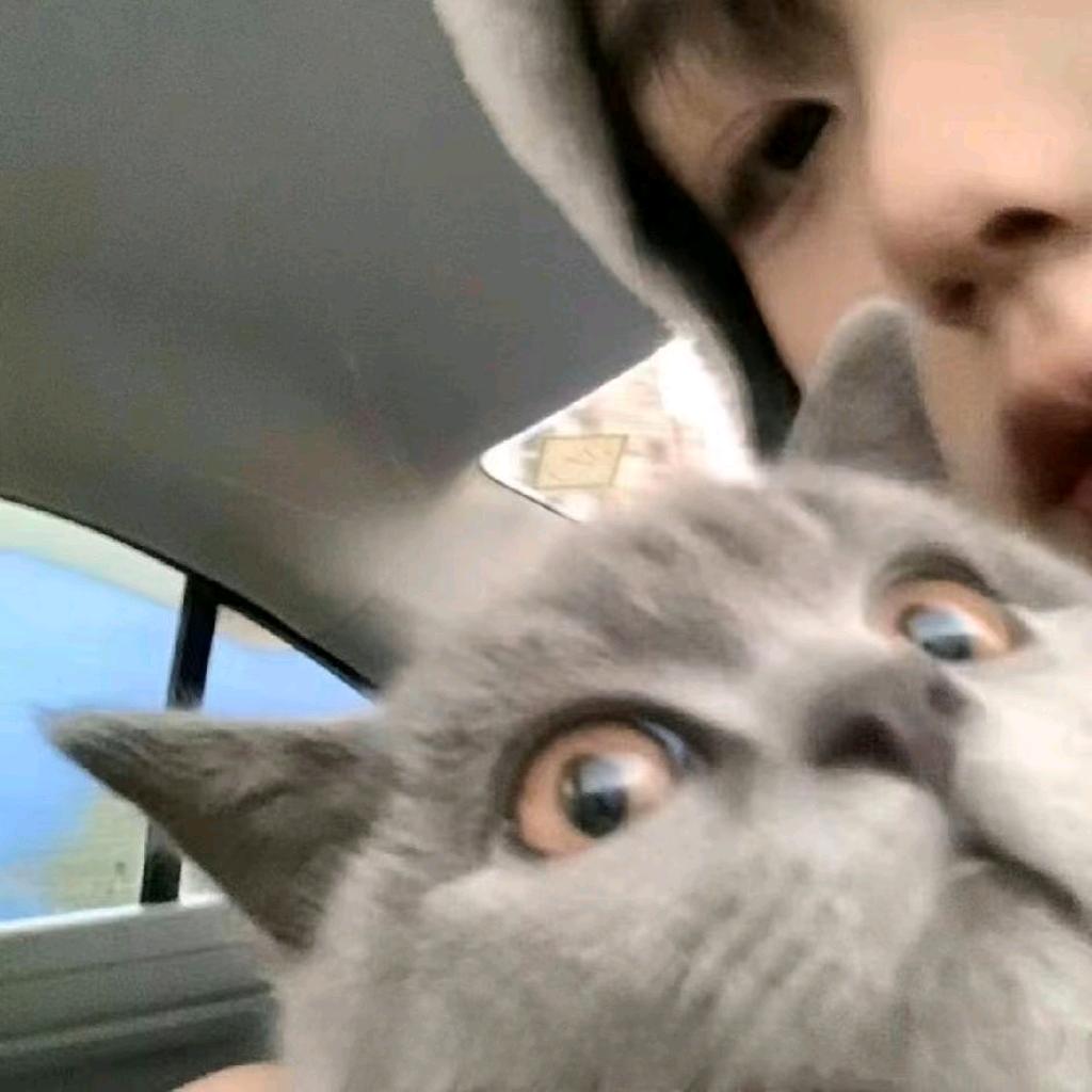 ly