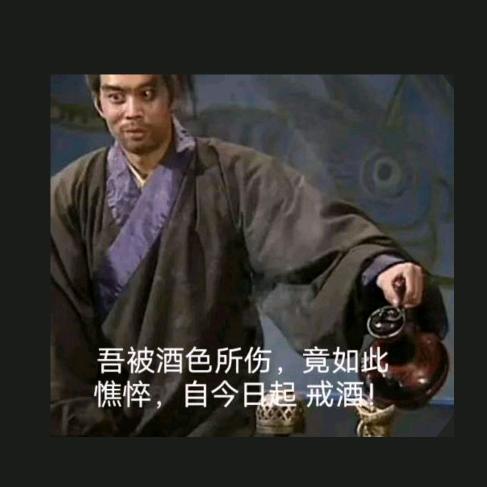 人生若止如初见