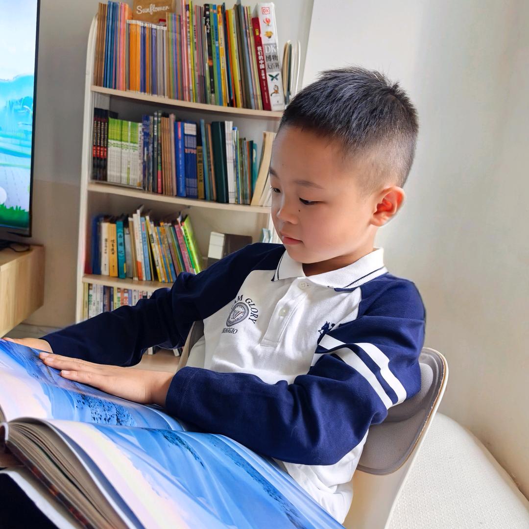 波仔爱学习