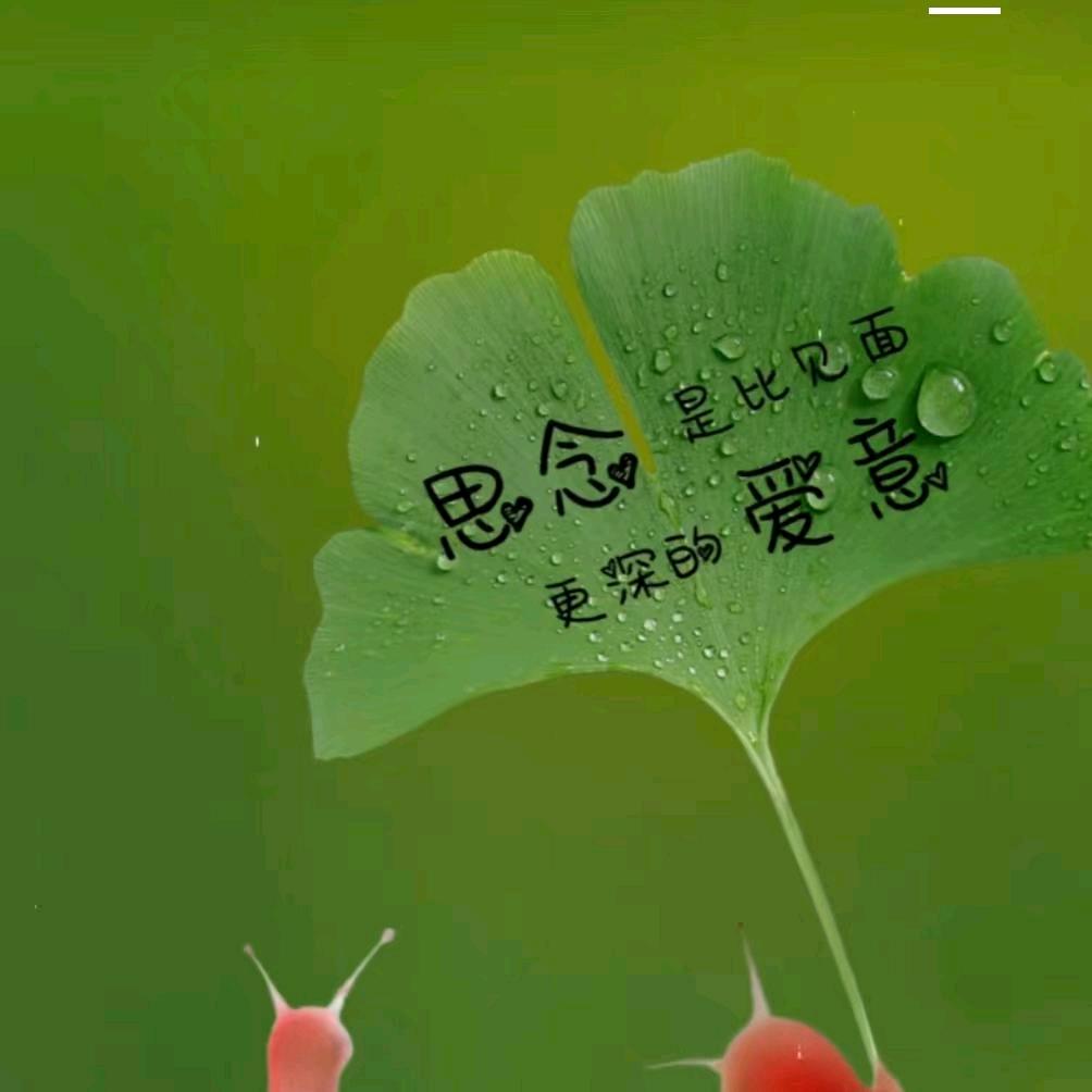 不负遇见，不谈亏欠！