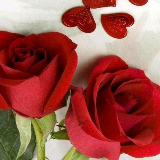 阳光灿烂的日子