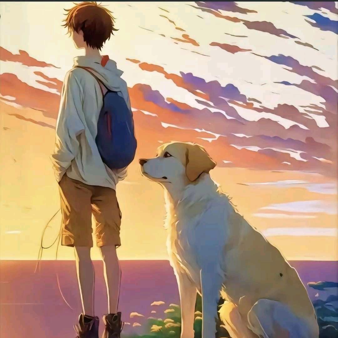 对落日许愿