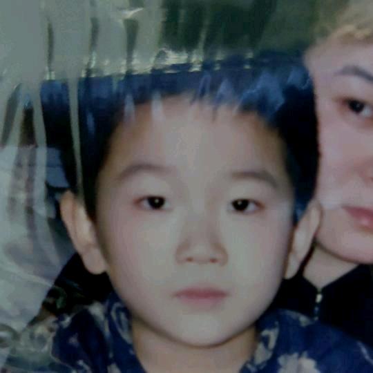 Aui_ovo