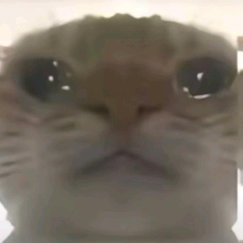 懒得起名