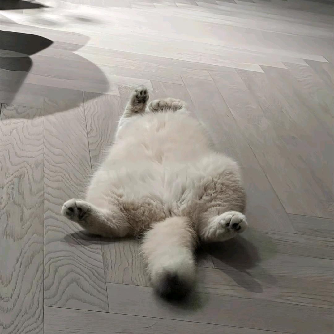 景晨遇到他爱摄影