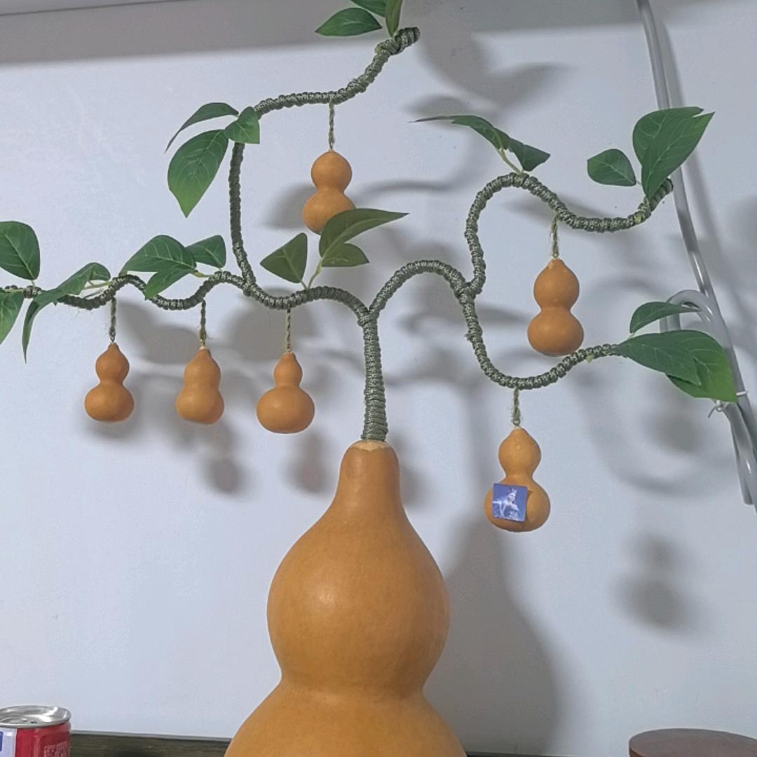 程程姐
