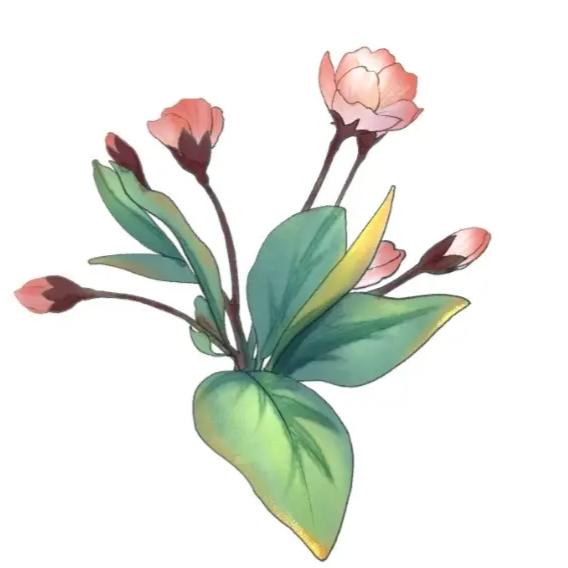 优品花农