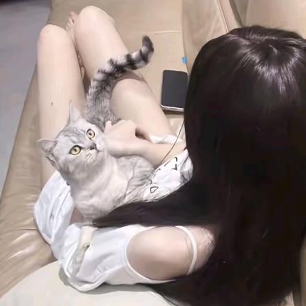 愛無解