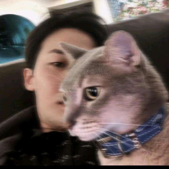 把蟑螂当口香糖嚼了一下午