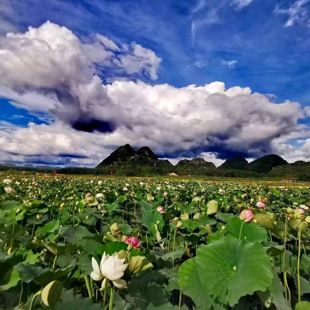 云县朗萨家居秋香姐