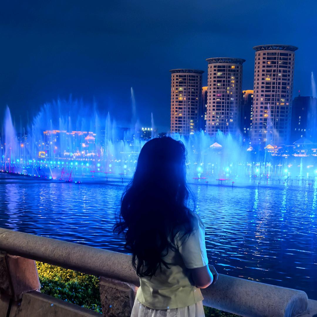所求皆如愿