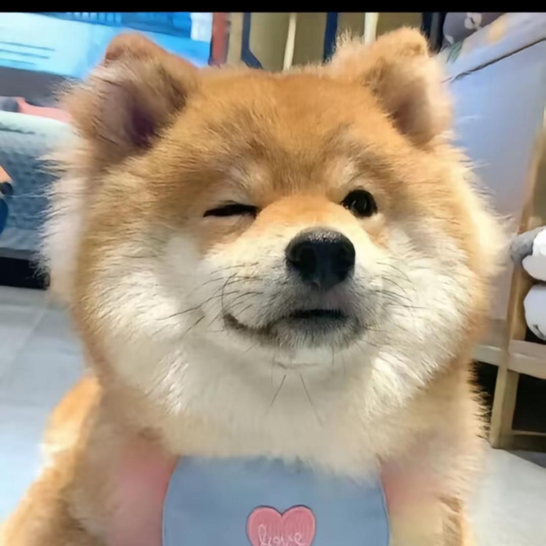 CC
