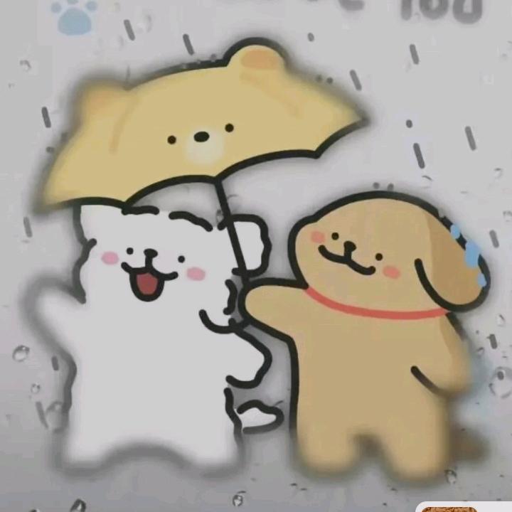 小鸡毛头像